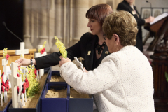 Web_AWW_NSW_ShaneRozario493