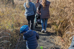 Wellbeing-Walk4