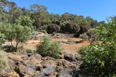 CBR-Wellbeing-walk8