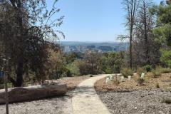 CBR-Wellbeing-walk9