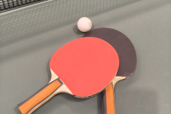 Tabletennis2