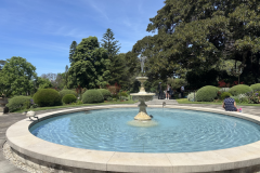 IMG_2381_png