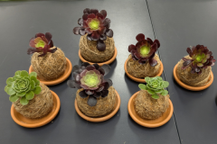 Newsletter Photo - 1