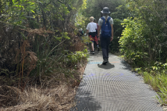 PNG_IMG_0383