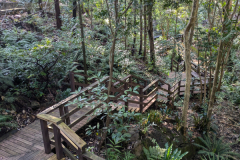 Wellness-Walk1