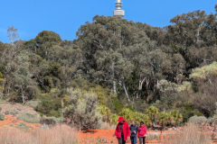 Wellness-Walk6