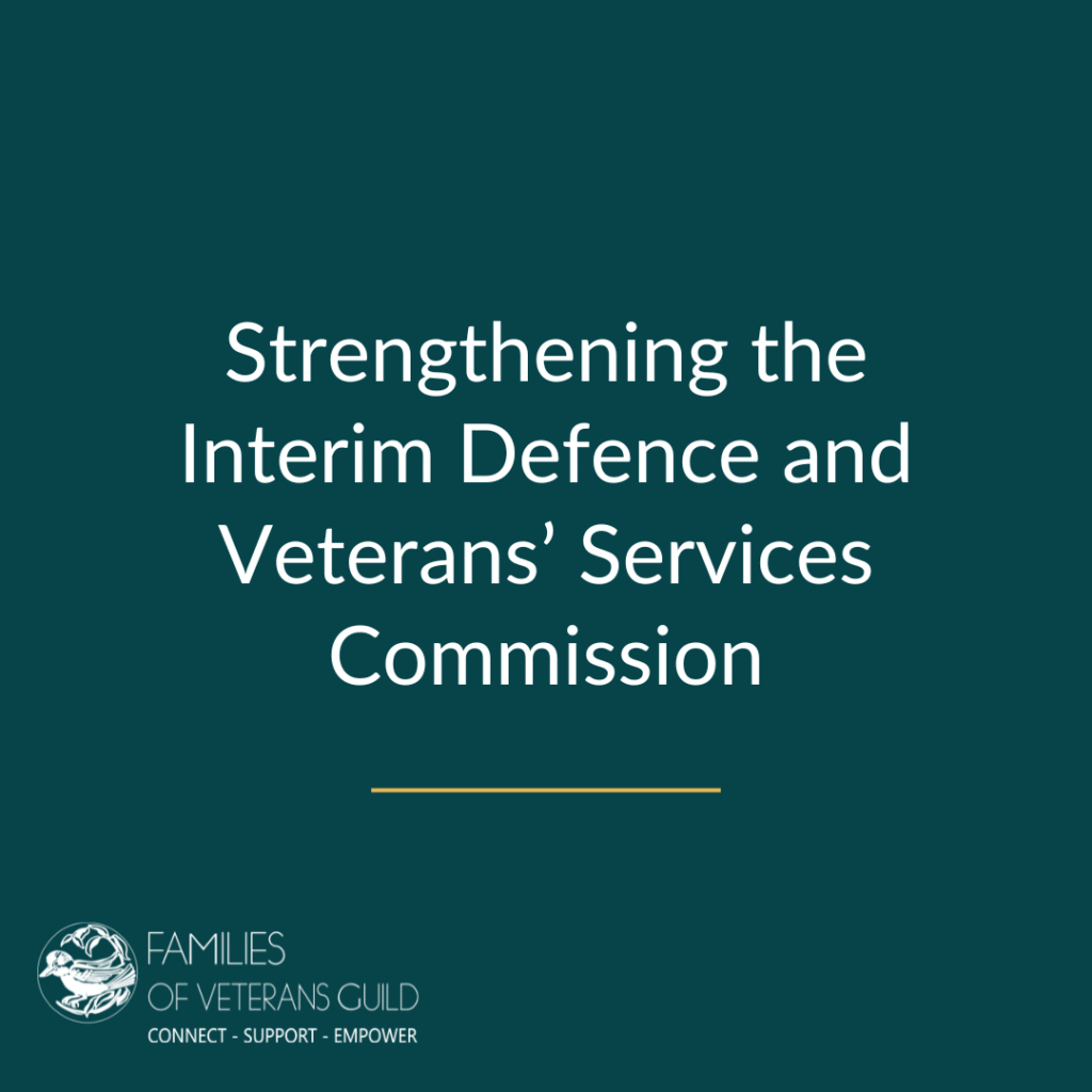 Strengthening the Interim Defence and Veterans’ Services Commission
