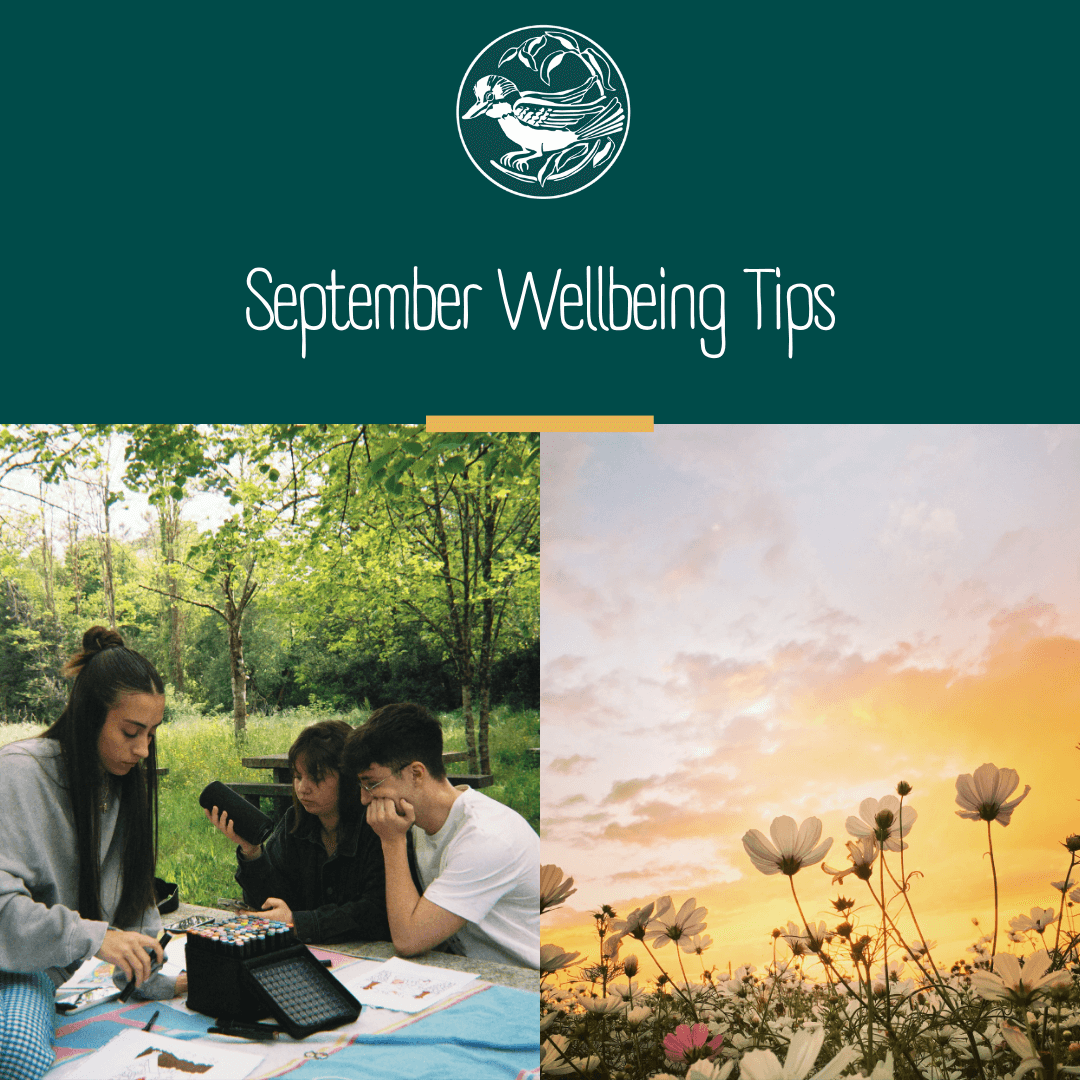 September Wellbeing Tips for war widows, defence and veteran families