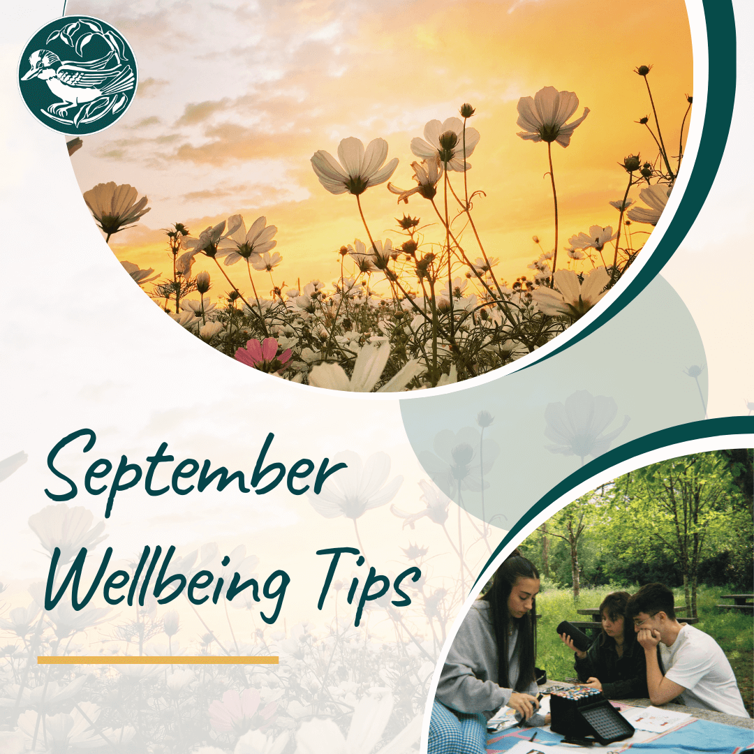 September Wellbeing Tips for war widows, defence and veteran families