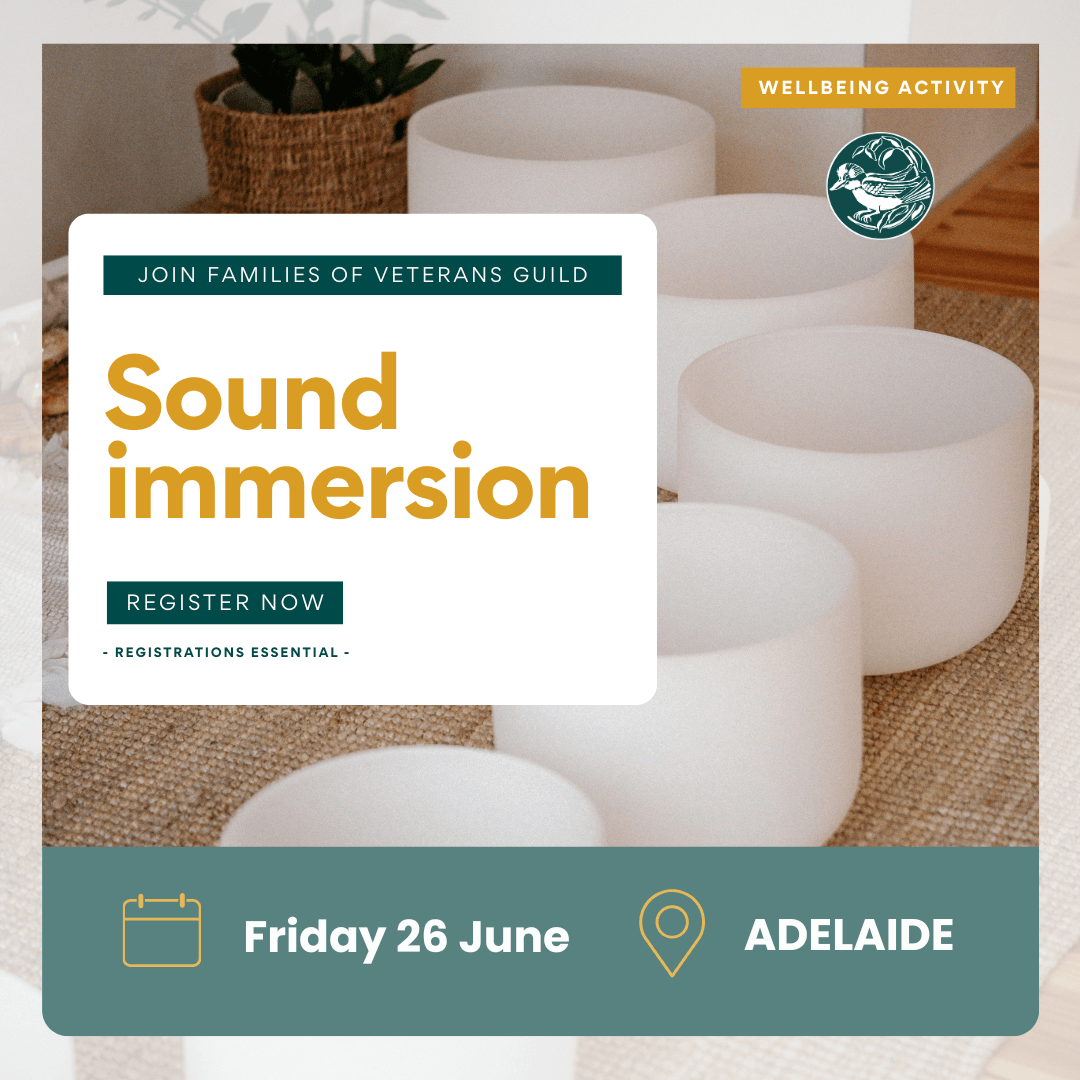 Sound immersion Adelaide. Free activities for war widows, defence and veteran families.
